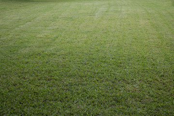 Green field land for development