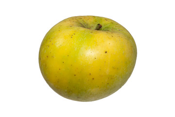 apple isolated on white background
