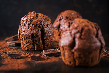 Chocolate muffin on dark background.