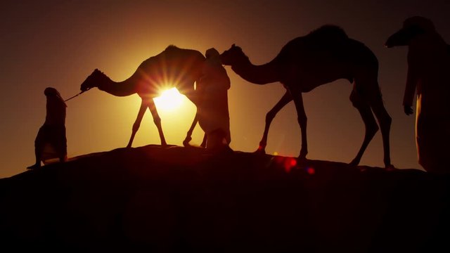 Camel caravan train travelling across a Middle Eastern desert
