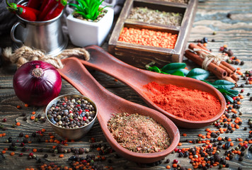 Spices and condiments for food