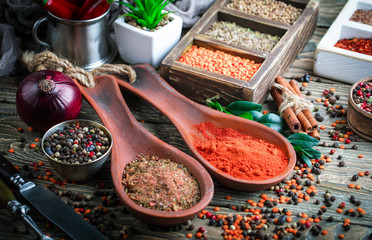 Spices and condiments for food
