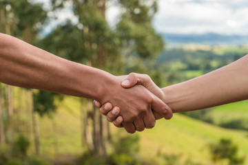 People greeting by shaking hands in the nature, handshake sunset
