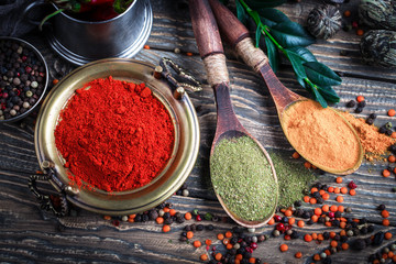 Spices and condiments for food