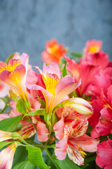 Fototapeta na wymiar Bouquet of spring flowers