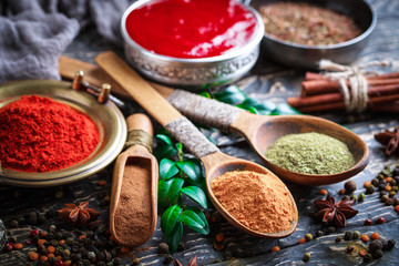 Spices and condiments for food