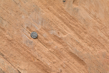 Wooden panel texture with Nail head for background