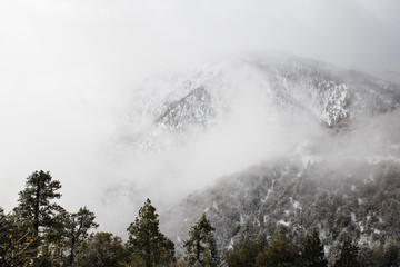 Obrazy na Szkle  mglisty szczyt góry zimą