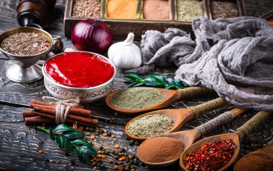 Spices and condiments for food