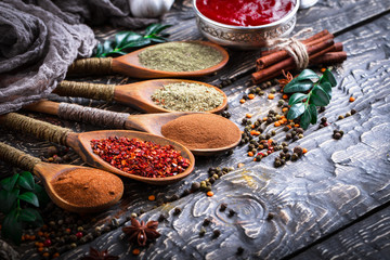 Spices and condiments for food