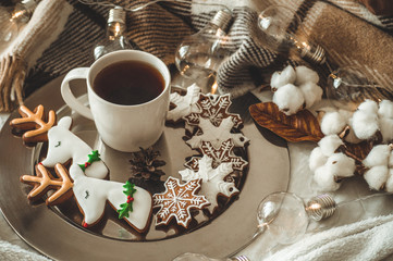 Fototapeta na wymiar cup with tea or coffee, fir branch, cookies in the shape of snowflakes, cozy knitted blanket, cotton and cozy garland, New Year