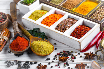 Spices and condiments for food
