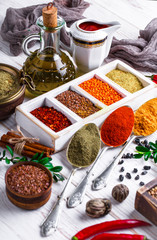 Spices and condiments for food