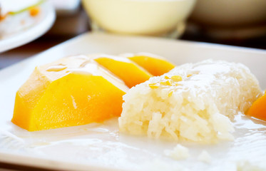 mango and sticky rice,Thai style tropical dessert, glutinous rice eat with mangoes