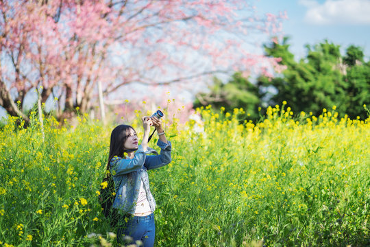 Woman take a sakura cheery blossom photo