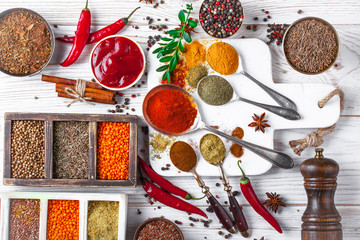 Spices and condiments for food