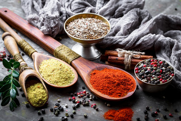 Spices and condiments for food