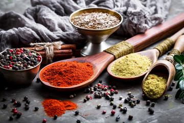 Spices and condiments for food