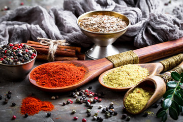 Spices and condiments for food