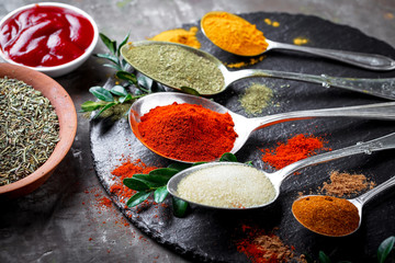 Spices and condiments for food