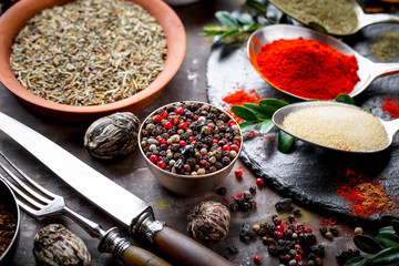 Spices and condiments for food