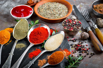 Spices and condiments for food