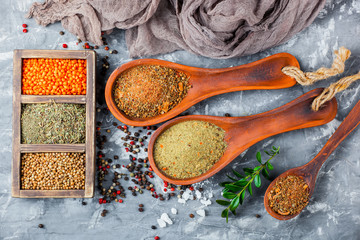 Spices and condiments for food