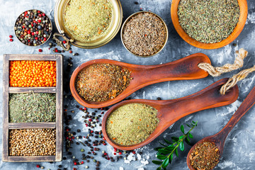 Spices and condiments for food