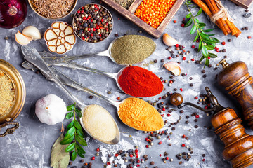 Spices and condiments for food