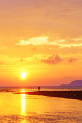 Amazing tropical beach