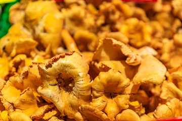 Fresh chanterelle mushrooms for sale at Pike Place Market in Seattle