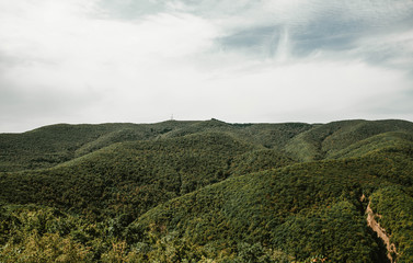 View of the Forest Hills
