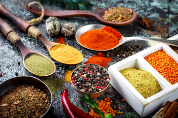 Spices and condiments for food