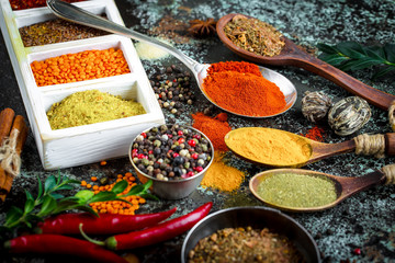 Spices and condiments for food