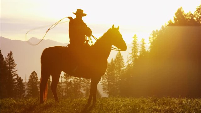 Silhouette of Cowboy Rider forest wilderness area Canada