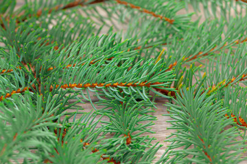 Naklejka na ściany i meble Christmas composition with fir tree branches on wooden background.