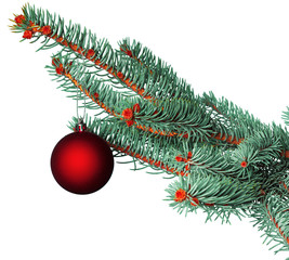 christmas ball on fir branch isolated on white background