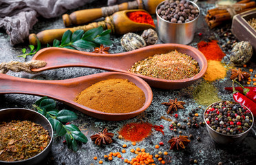 Spices and condiments for food