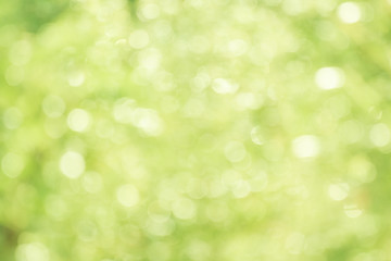 Obraz premium Abstract background blur focus as bokeh baclground.