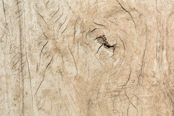 Old wooden texture top view full frame background