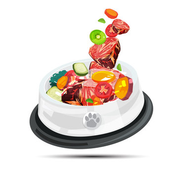 bowl of barf food for pet. healthy food for pet - vector