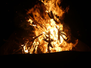 Offenes Feuer mit brennendem Tannenbaum
