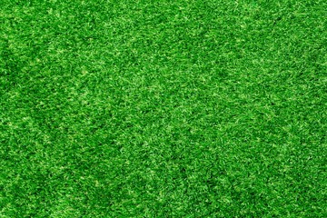 Full frame shot. Artificial grass as background
