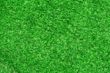 Fototapeta premium Full Frame Shot Of Artificial Grass Texture.