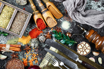 Spices and condiments for food