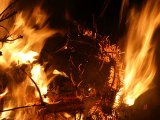 Offenes Feuer mit brennendem Tannenbaum