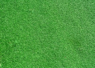 Fototapeta na wymiar Green grass texture background.