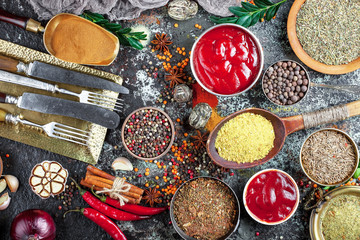 Spices and condiments for food