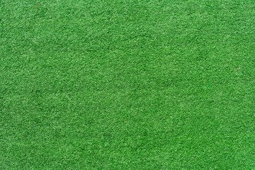 Close-up shot. Green grass texture background.