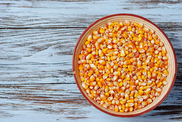 Raw corn grains in a plate